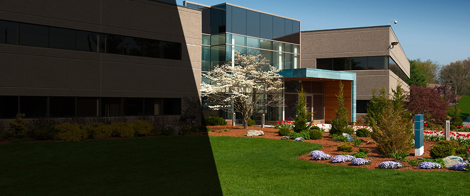 Santa Clara Landscapers