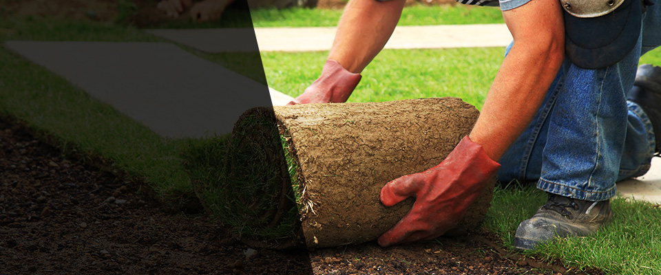 Santa Clara Landscapers